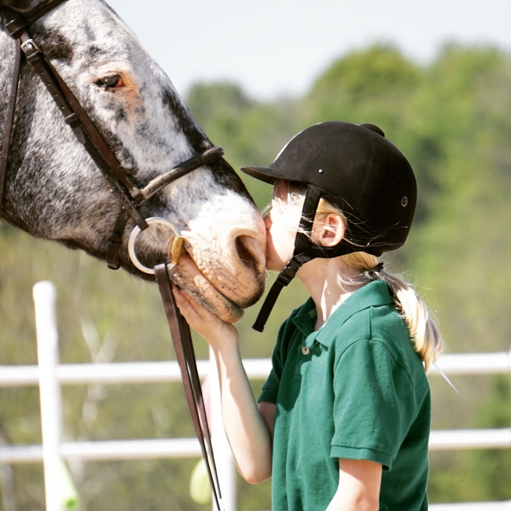 Meet your Posher, Finni